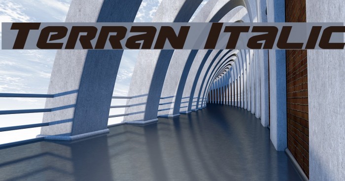 Terran Italic Font examples