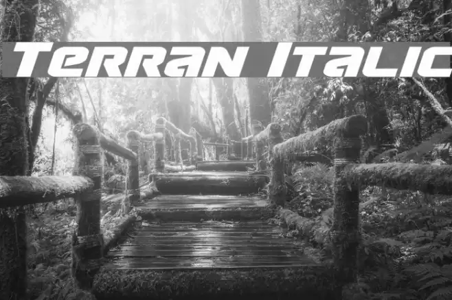 Terran Italic examples