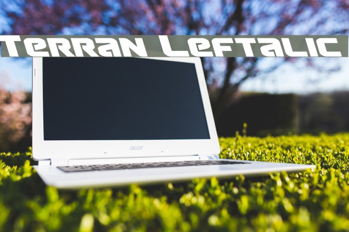 Terran Leftalic Font examples