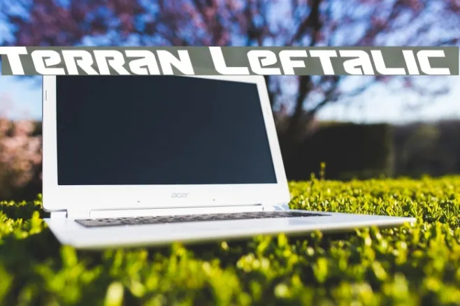 Terran Leftalic Example 1