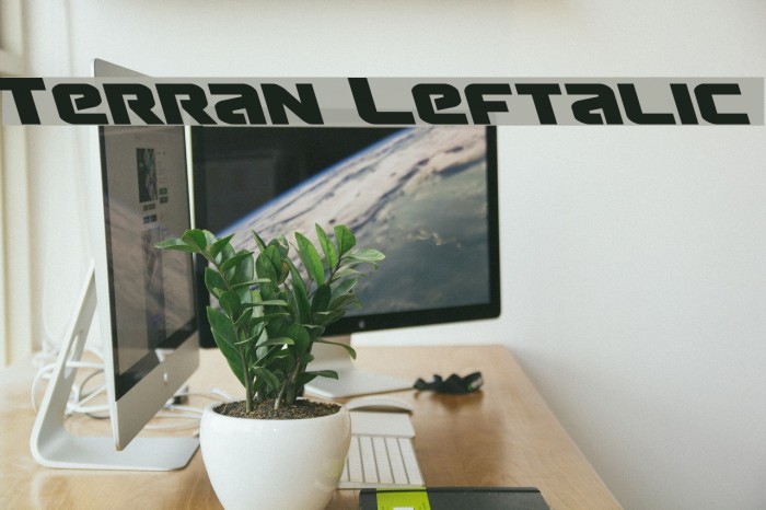 Terran Leftalic Font examples