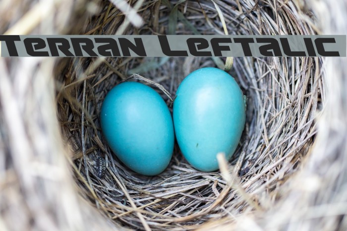 Terran Leftalic Font examples