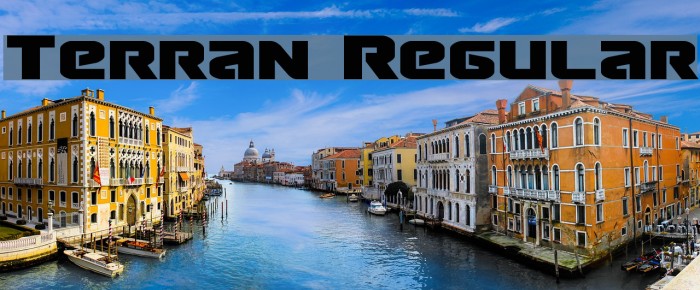 Terran Regular Font examples