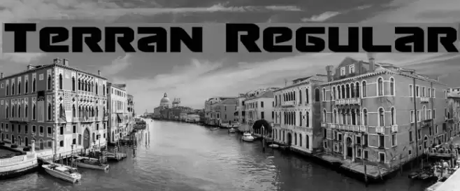 Terran Regular Font examples