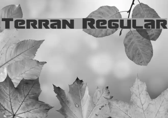 Terran Regular Font examples