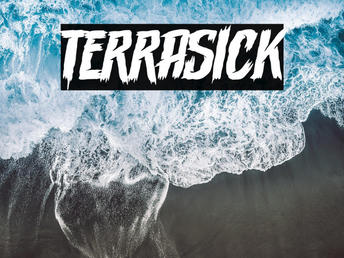 Terrasick Example 1