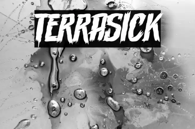 Terrasick Font examples
