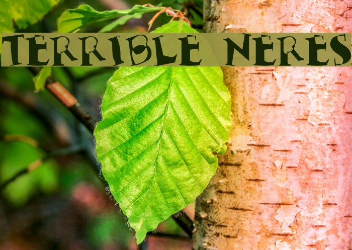 Terrible Nerves Font examples