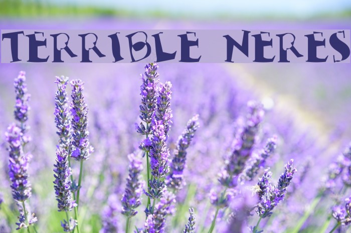 Terrible Nerves Font examples