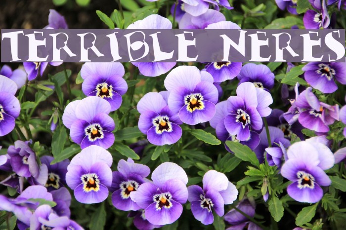 Terrible Nerves Font examples