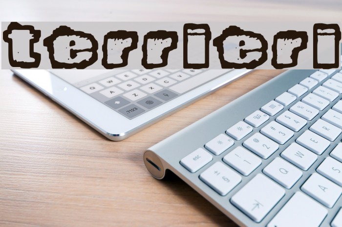 Terrieri Font examples