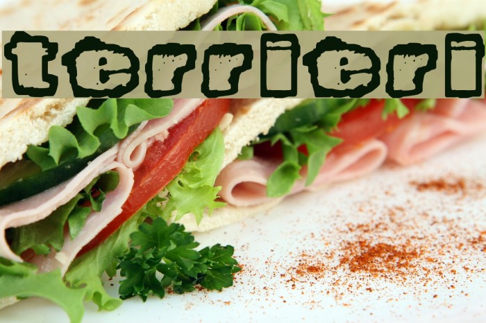 Terrieri Font examples