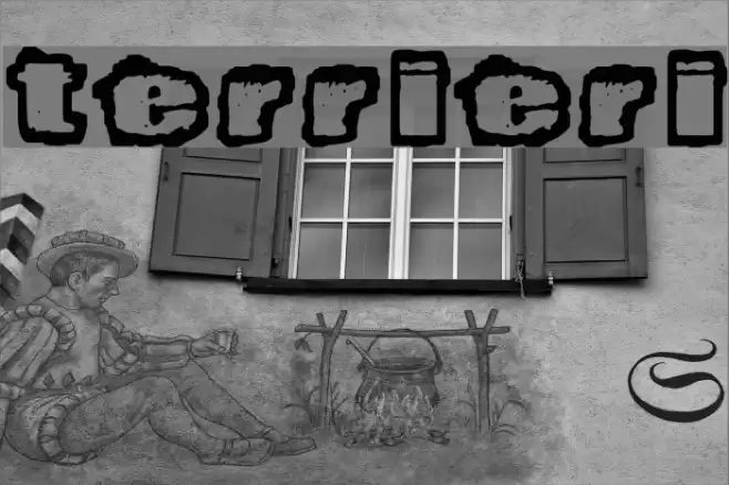 Terrieri Font examples