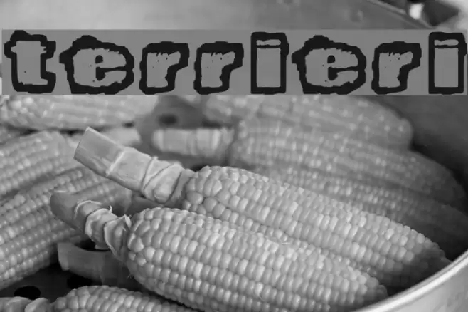 Terrieri Font examples