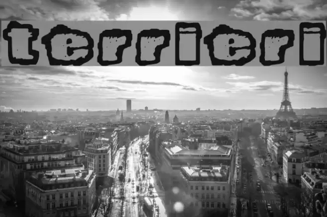 Terrieri Font examples