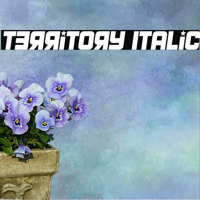 Territory Italic Example 1