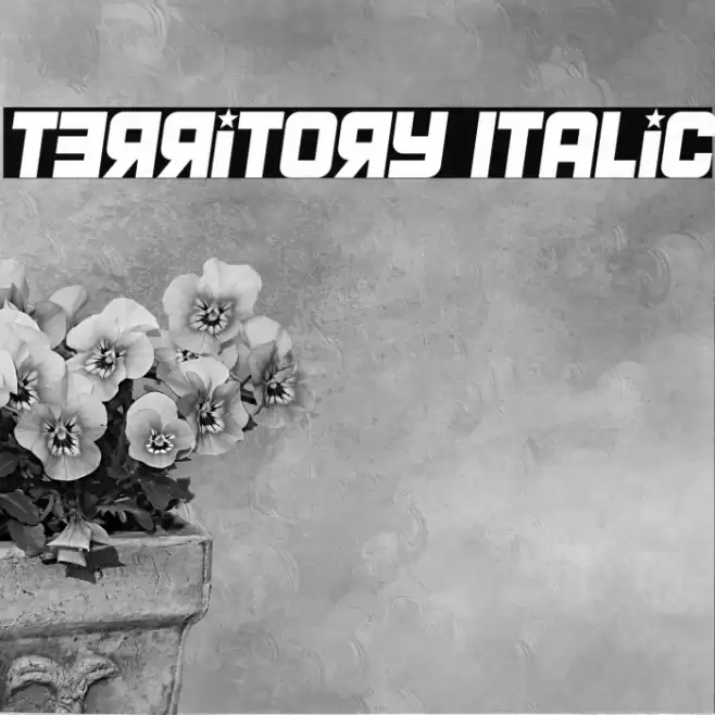 Territory Italic Font examples