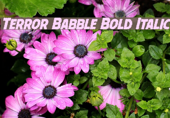 Terror Babble Bold Italic Шрифта examples