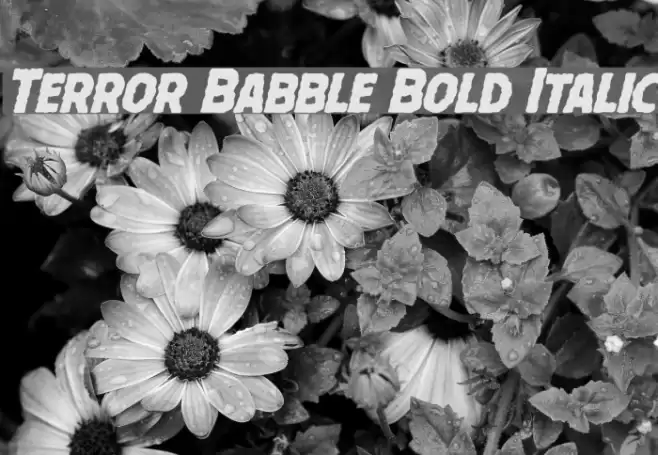 Terror Babble Bold Italic Font examples