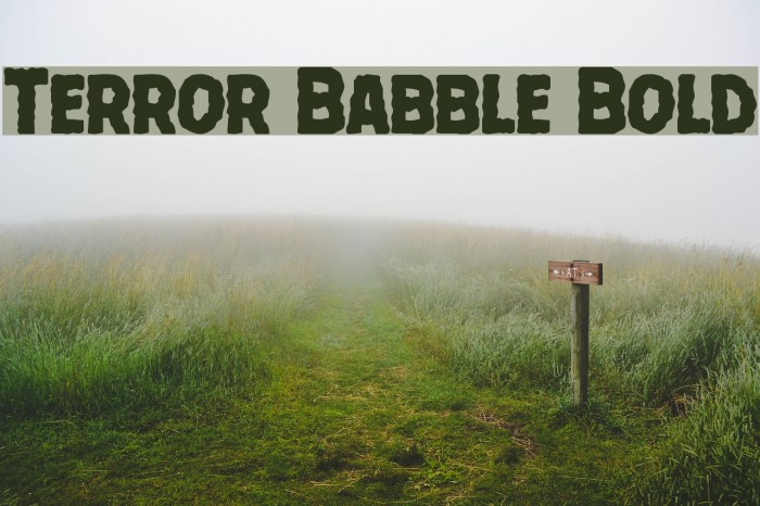 Terror Babble Bold Font examples