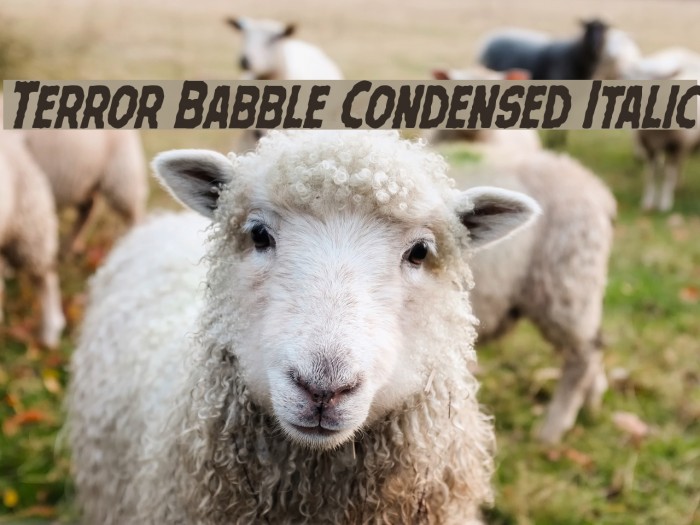 Terror Babble Condensed Italic Font examples