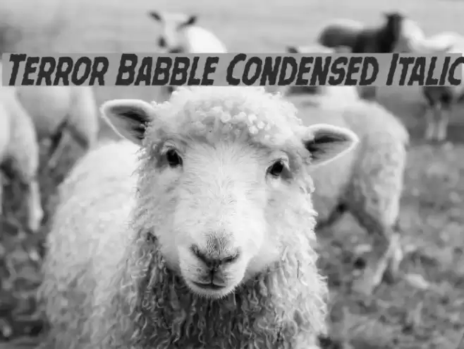Terror Babble Condensed Italic Шрифта examples