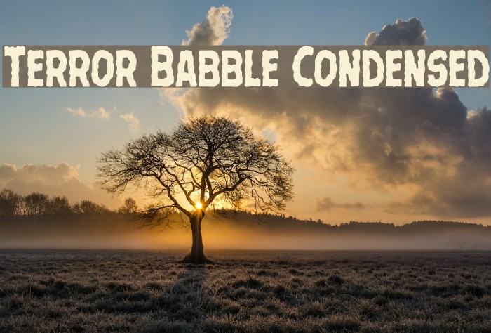 Terror Babble Condensed Font examples