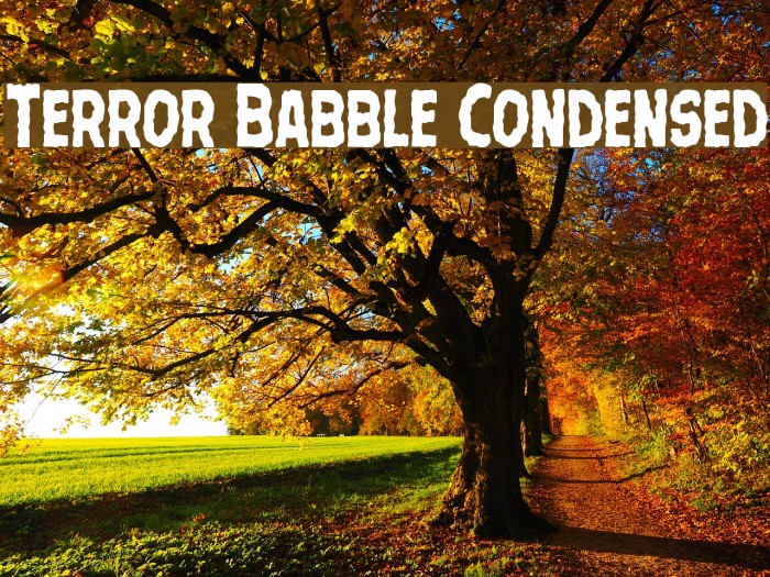 Terror Babble Condensed Font examples