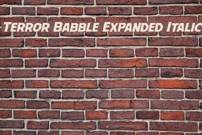 Terror Babble Expanded Italic Font examples