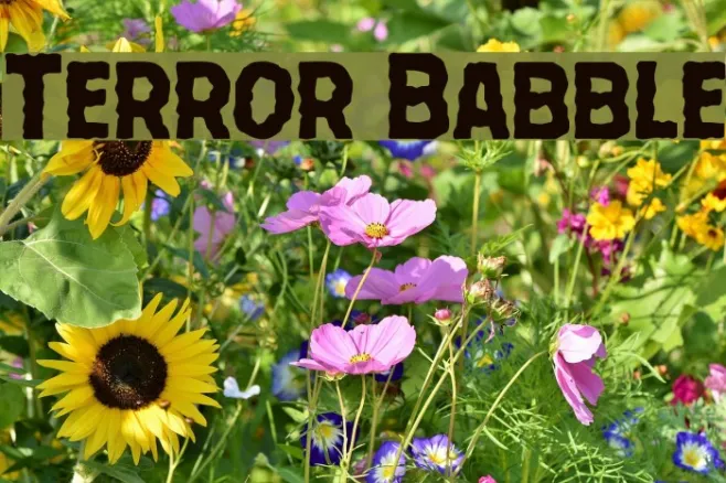 Terror Babble Example 1