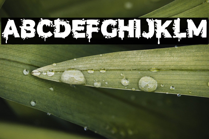 Terror Letter Example 3