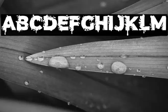 Terror Letter Font examples