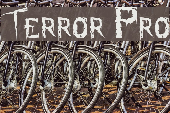 Terror Pro Example 2