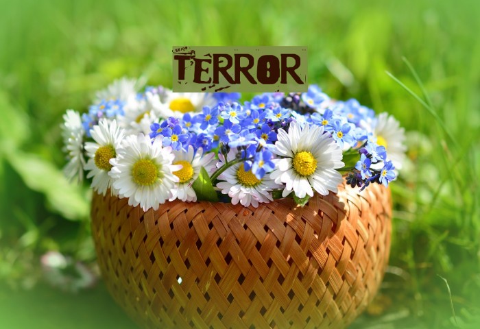 Terror2005 Caratteri examples