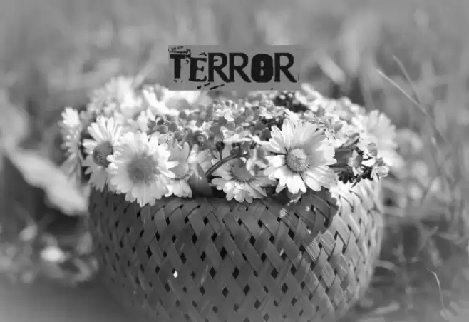 Terror2005 Fonte examples