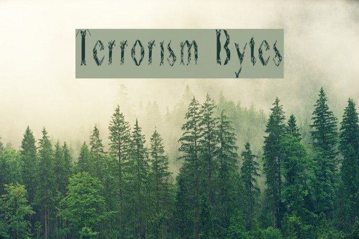 Terrorism Bytes Example 1