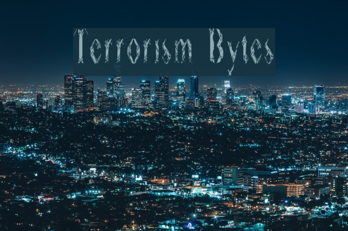 Terrorism Bytes Example 2