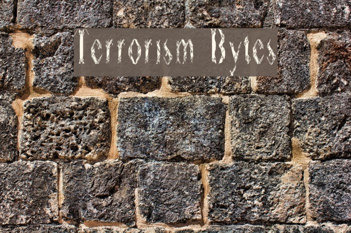 Terrorism Bytes Example 3