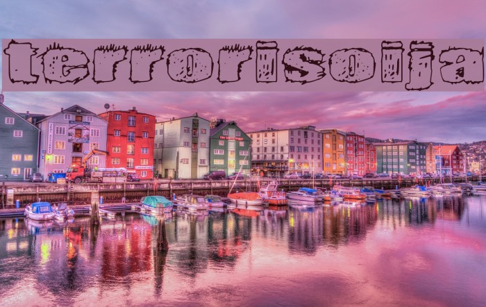 Terrorisoija Example 1