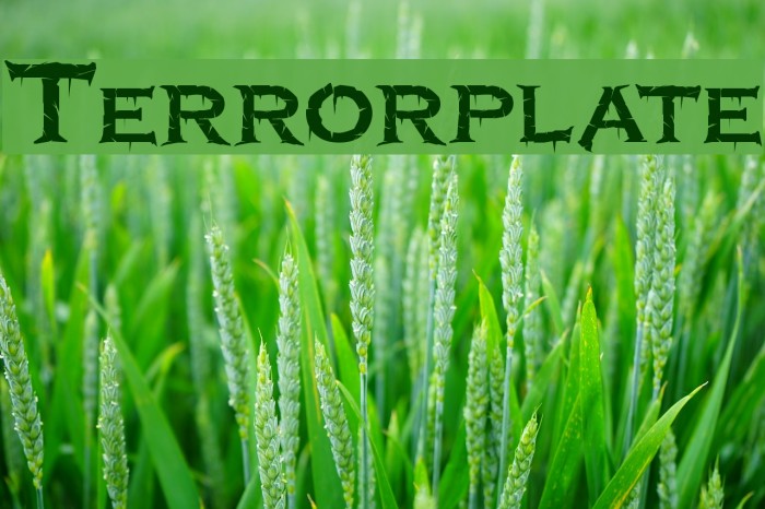 Terrorplate Font examples