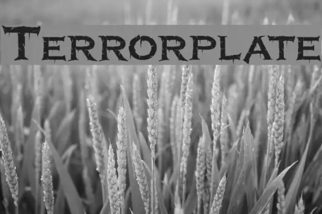 Terrorplate Font examples