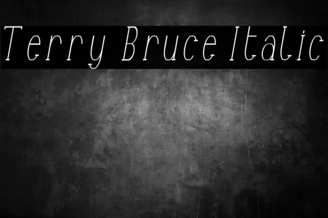 Terry Bruce Italic Font examples