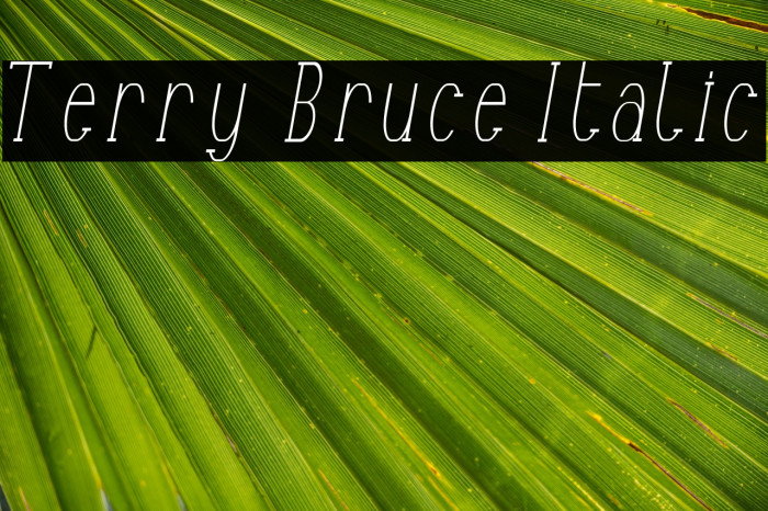 Terry Bruce Italic फ़ॉन्ट examples