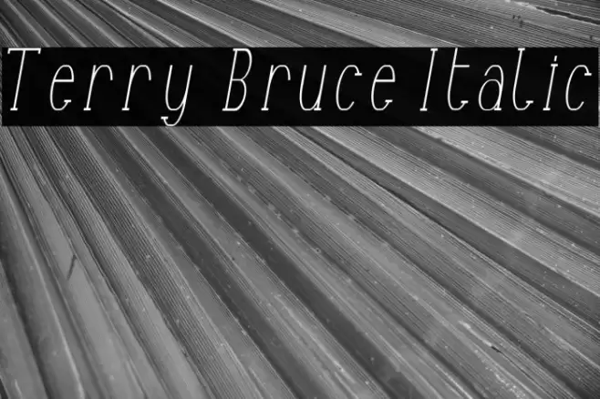 Terry Bruce Italic Font examples