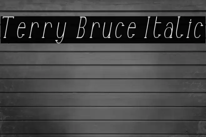 Terry Bruce Italic Font examples