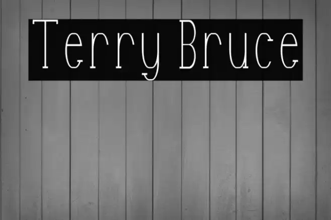 Terry Bruce Font examples