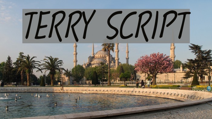 Terry Script Font examples