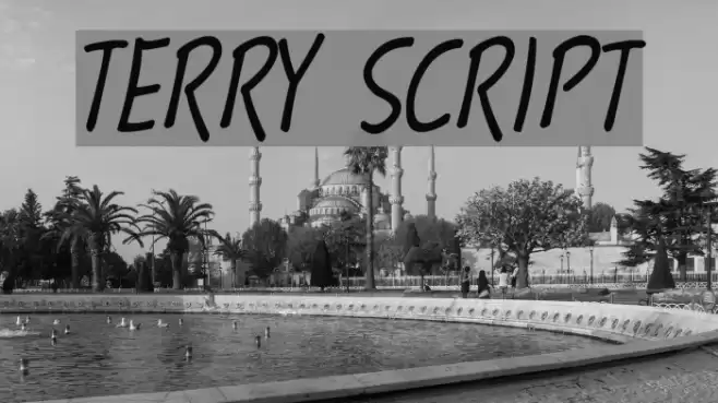 Terry Script フォント examples