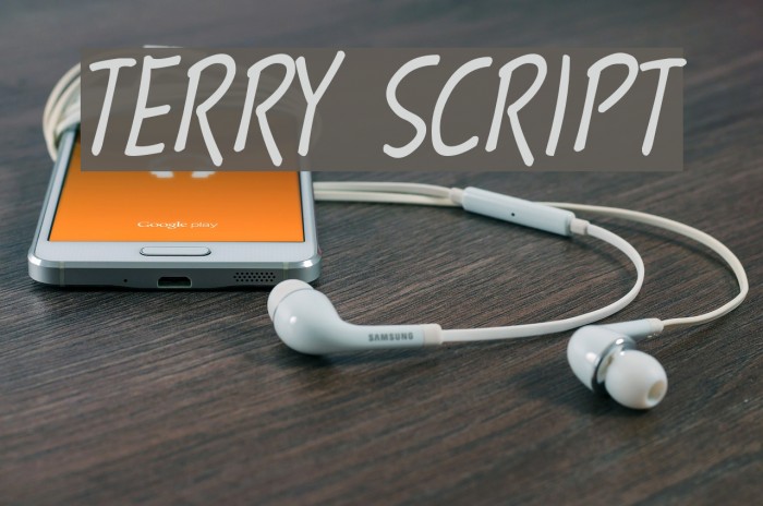 Terry Script Font examples