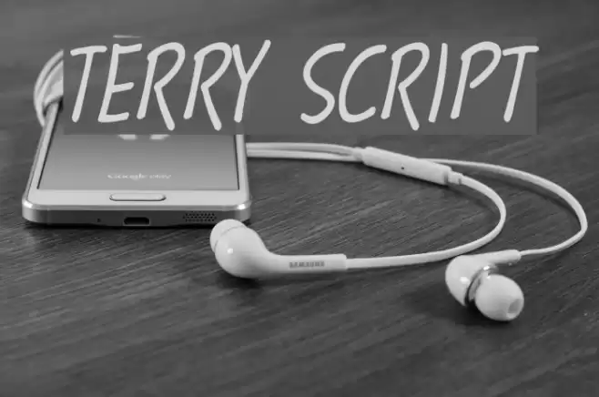 Terry Script フォント examples